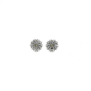 XAVIER DEL CERRO EARRINGS - 10979