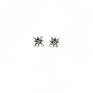 XAVIER DEL CERRO EARRINGS - 10803